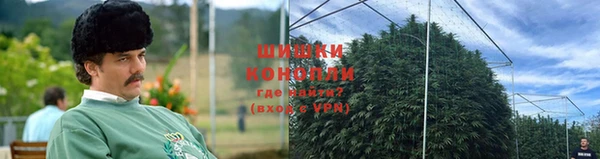 СК Каменногорск