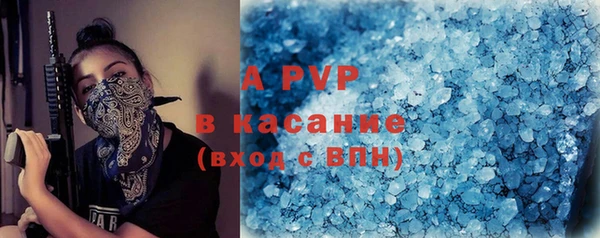 СК Каменногорск