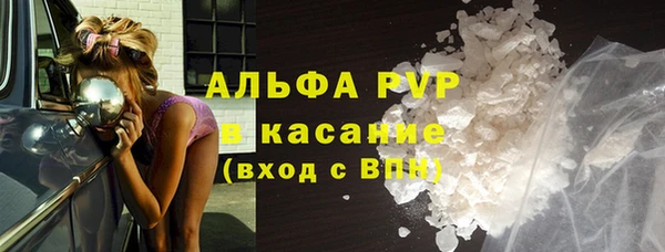 СК Каменногорск