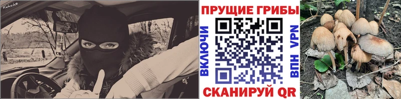 Галлюциногенные грибы Magic Shrooms  Купить закладки  Балей 